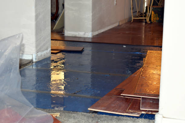 Professional Water Removal technician working in Stratton, ME